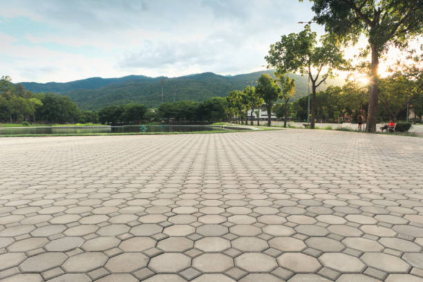 Reliable Tropical Park, FL Driveway Pavers Solutions